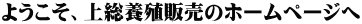 悤A㑍{B̔̃z[y[W