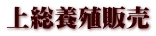 㑍{B̔