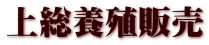㑍{B̔