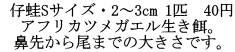  e^STCYE2`3cm 1C@40~ AtJcKGaB @悩܂ł̑傫łB