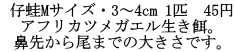  e^MTCYE3`4cm 1C@45~ AtJcKGaB @悩܂ł̑傫łB