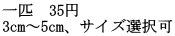 C@35~ 3cm`5cmATCYI